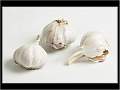 Garlic Cloves